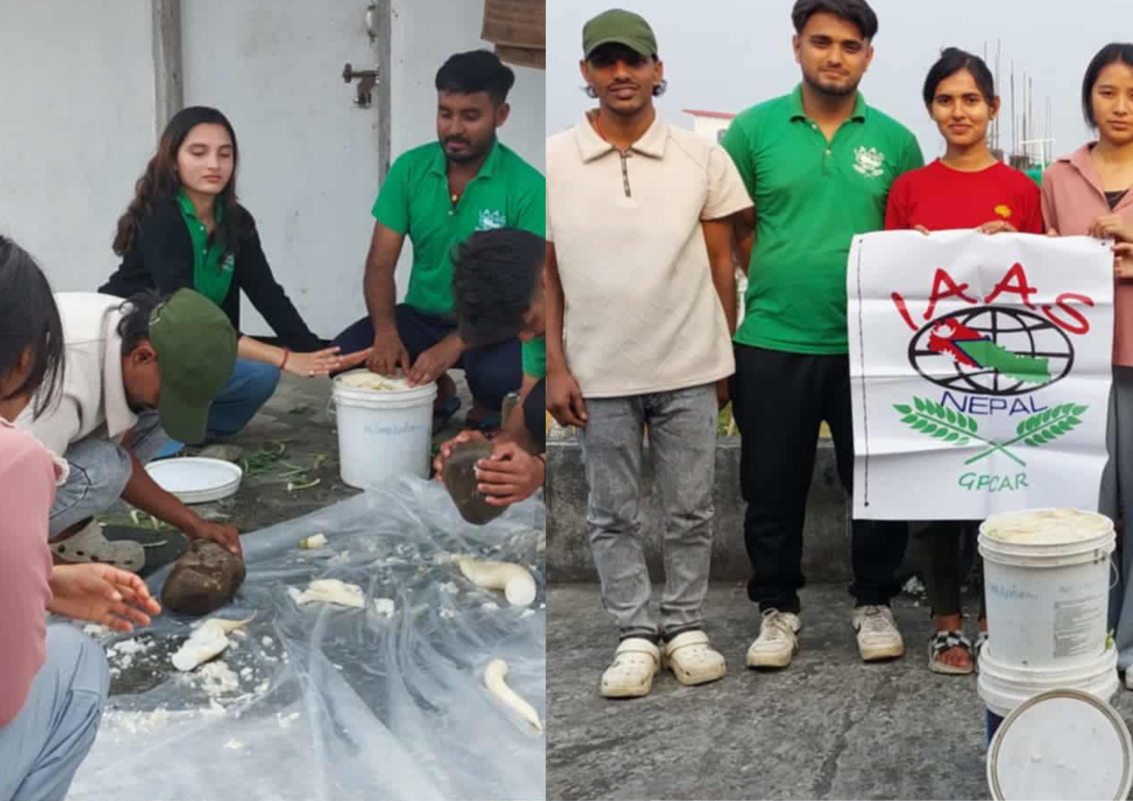 Flavor and Fortune for Sinki Making: Enhancing Traditional Fermented Food through Community-Based Enterprise