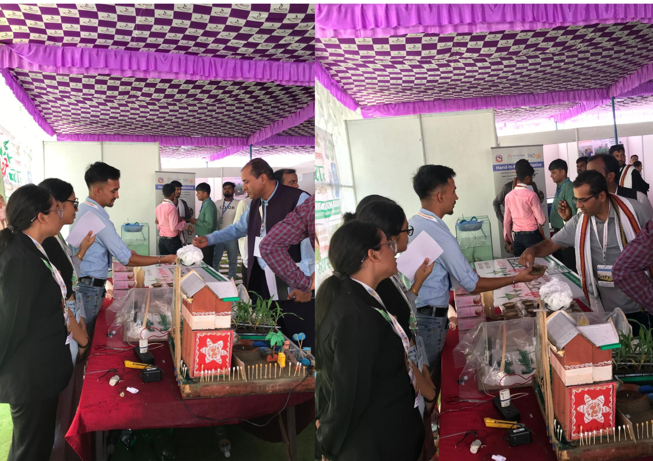 Rainwater Harvesting