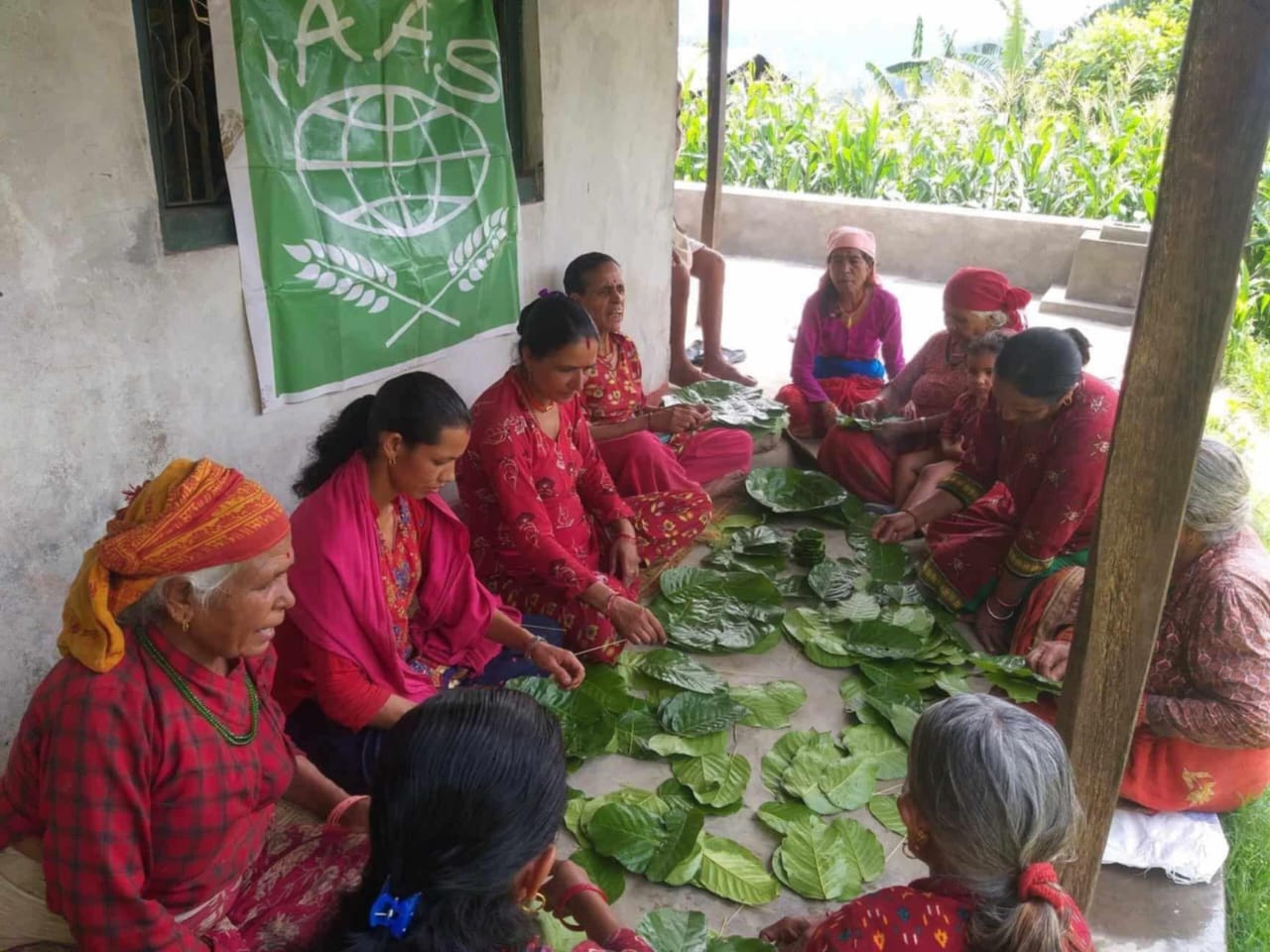 Tapari for Changemakers